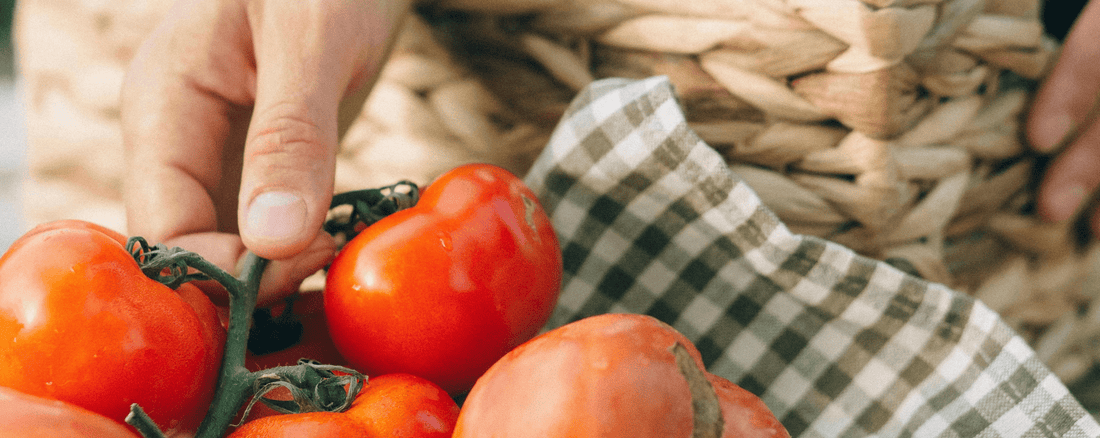 From Garden to Kitchen: How to Use Your Garden for an Organic Lifestyle - LandscapeDirect