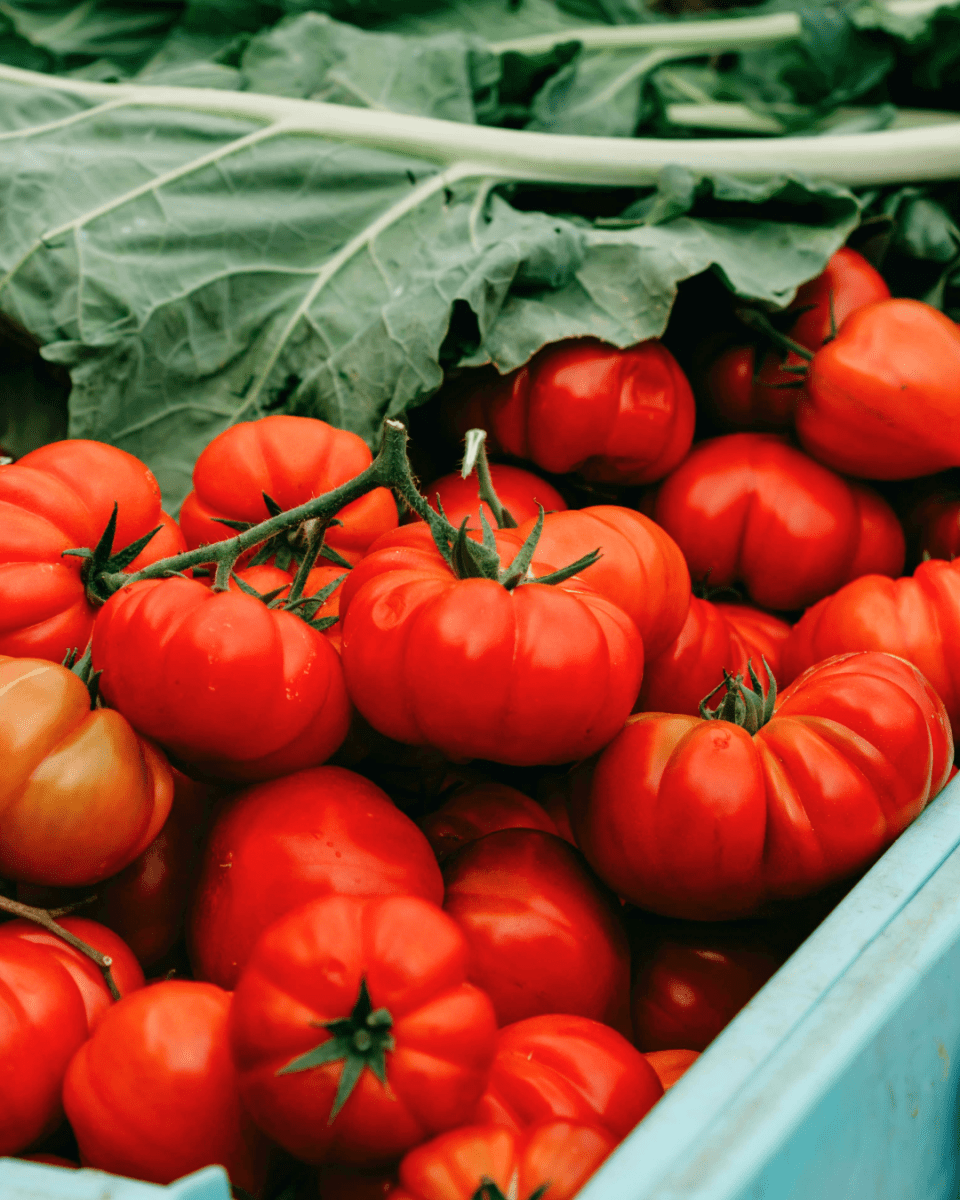 Beefsteak Tomato - LandscapeDirect