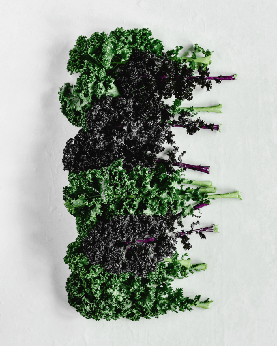 Black Kale - LandscapeDirect