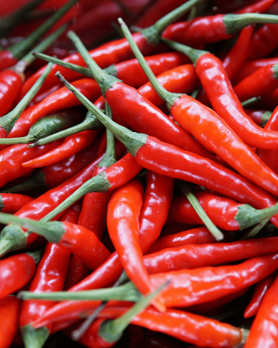 Cayenne Long Slim Pepper - LandscapeDirect