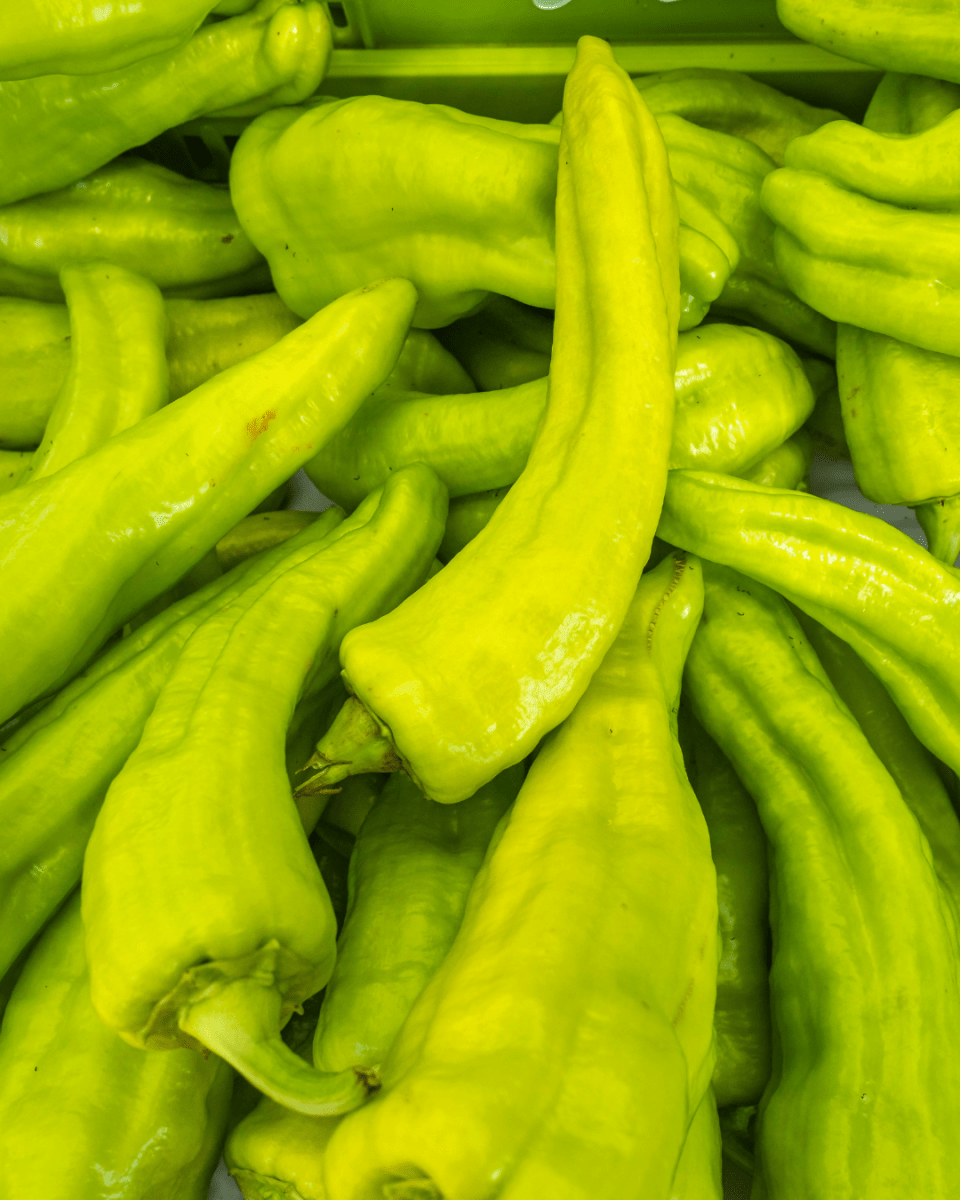 Cubanelle Pepper - LandscapeDirect