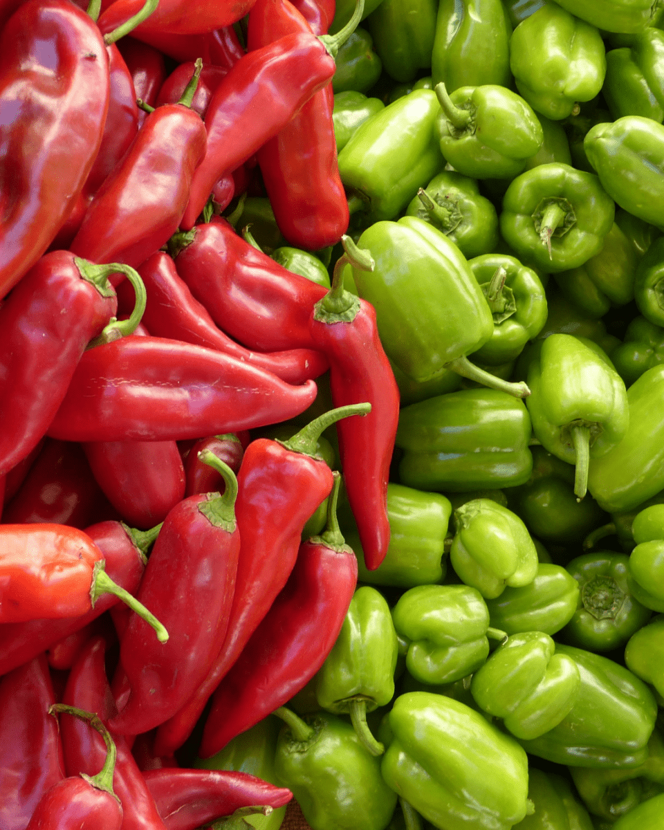 Jalapeno Pepper - LandscapeDirect