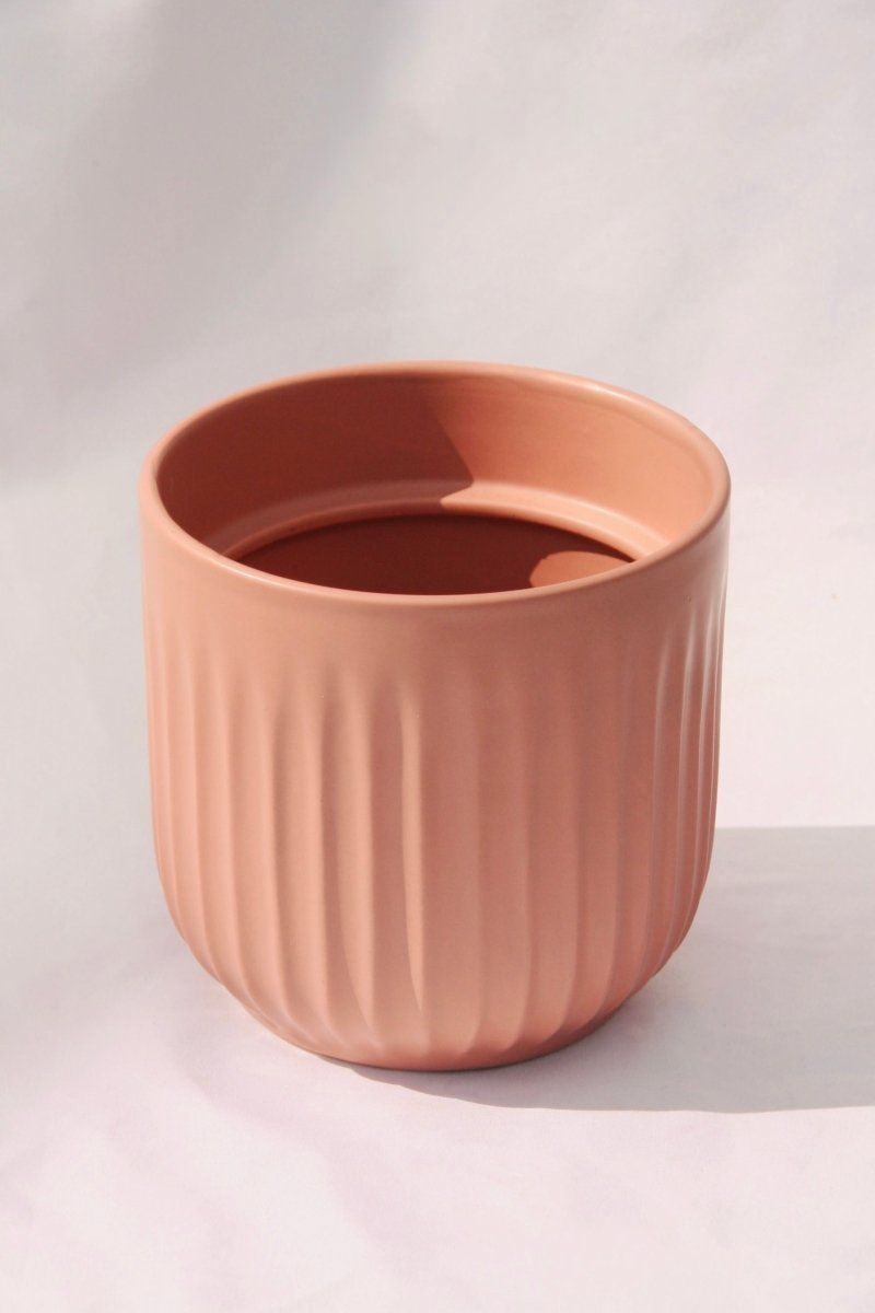 Sai 5" Dusty Rose Plant Pot - LandscapeDirect