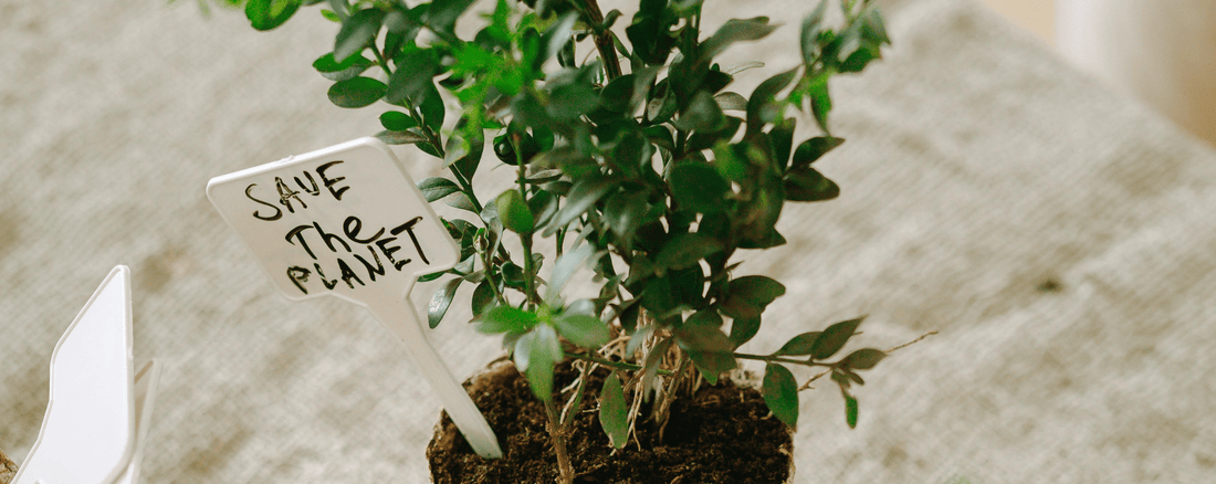 5 Sustainable Gardening Practices for Every Gardener - LandscapeDirect