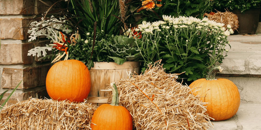 A Garden That Feels Like Fall - LandscapeDirect