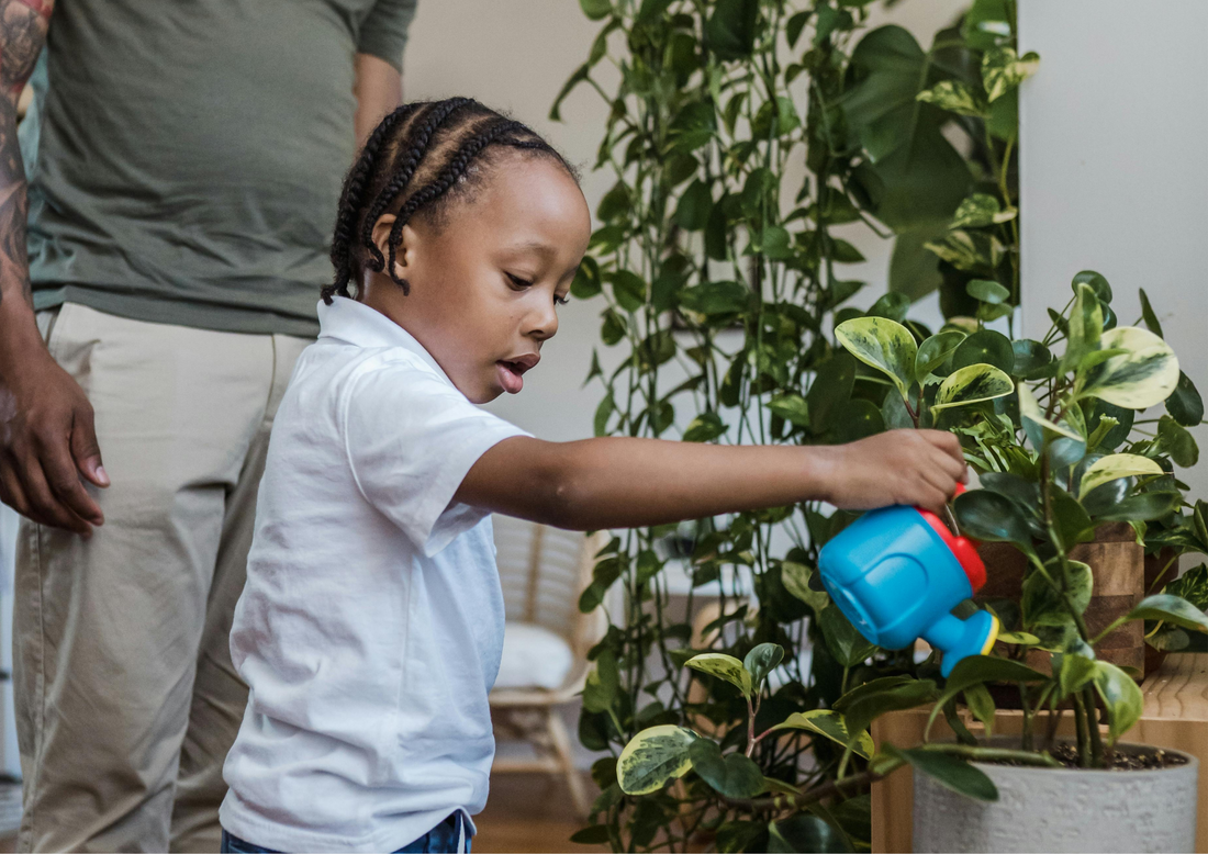 Getting Your Kids Involved In The Garden