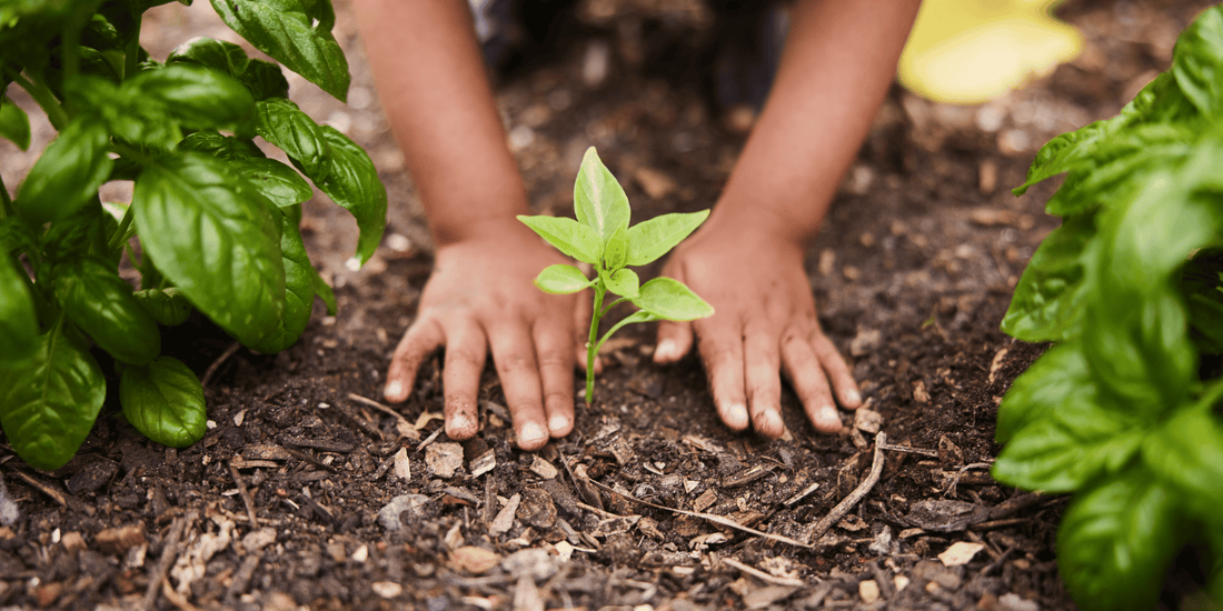 Growing Together: The Joy of Family Gardening - LandscapeDirect