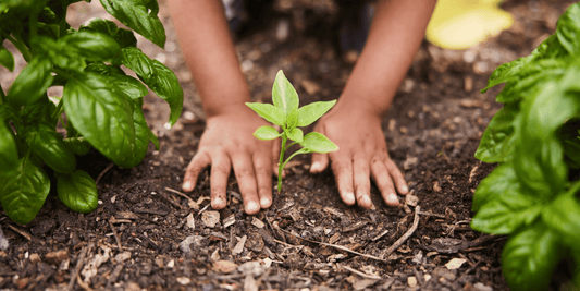 Growing Together: The Joy of Family Gardening - LandscapeDirect