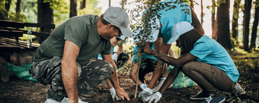 Mangrove Restoration Project - LandscapeDirect