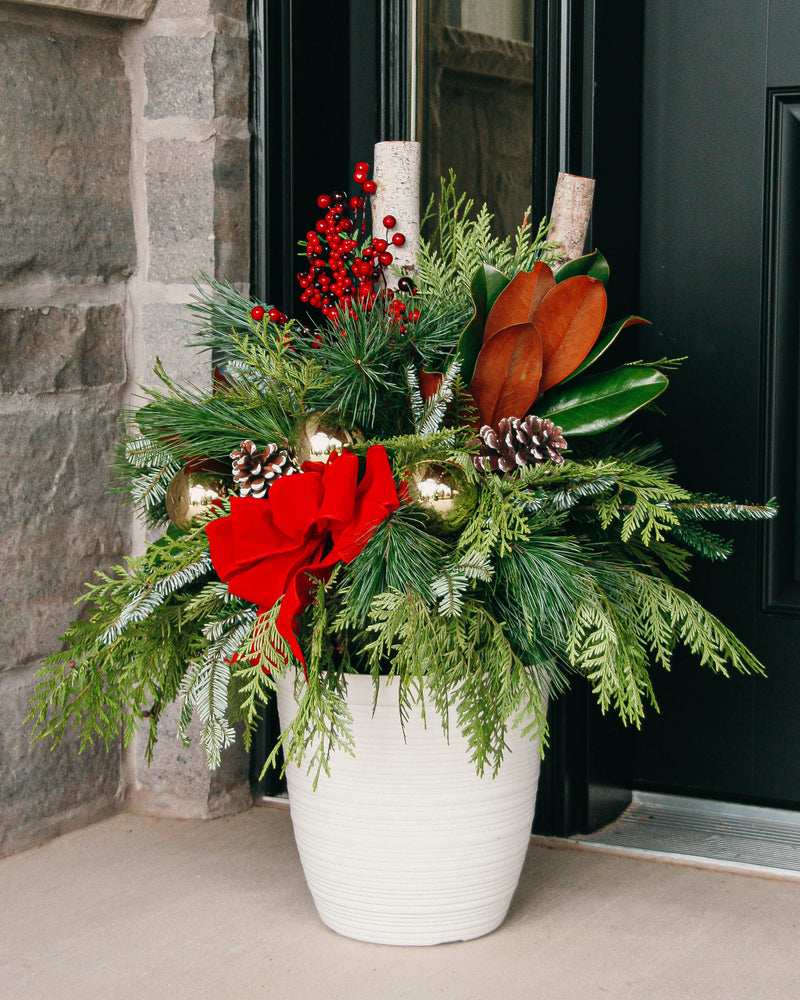 Christmas Planters & Pots - LandscapeDirect