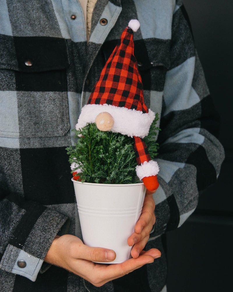 Christmas Decor - LandscapeDirect