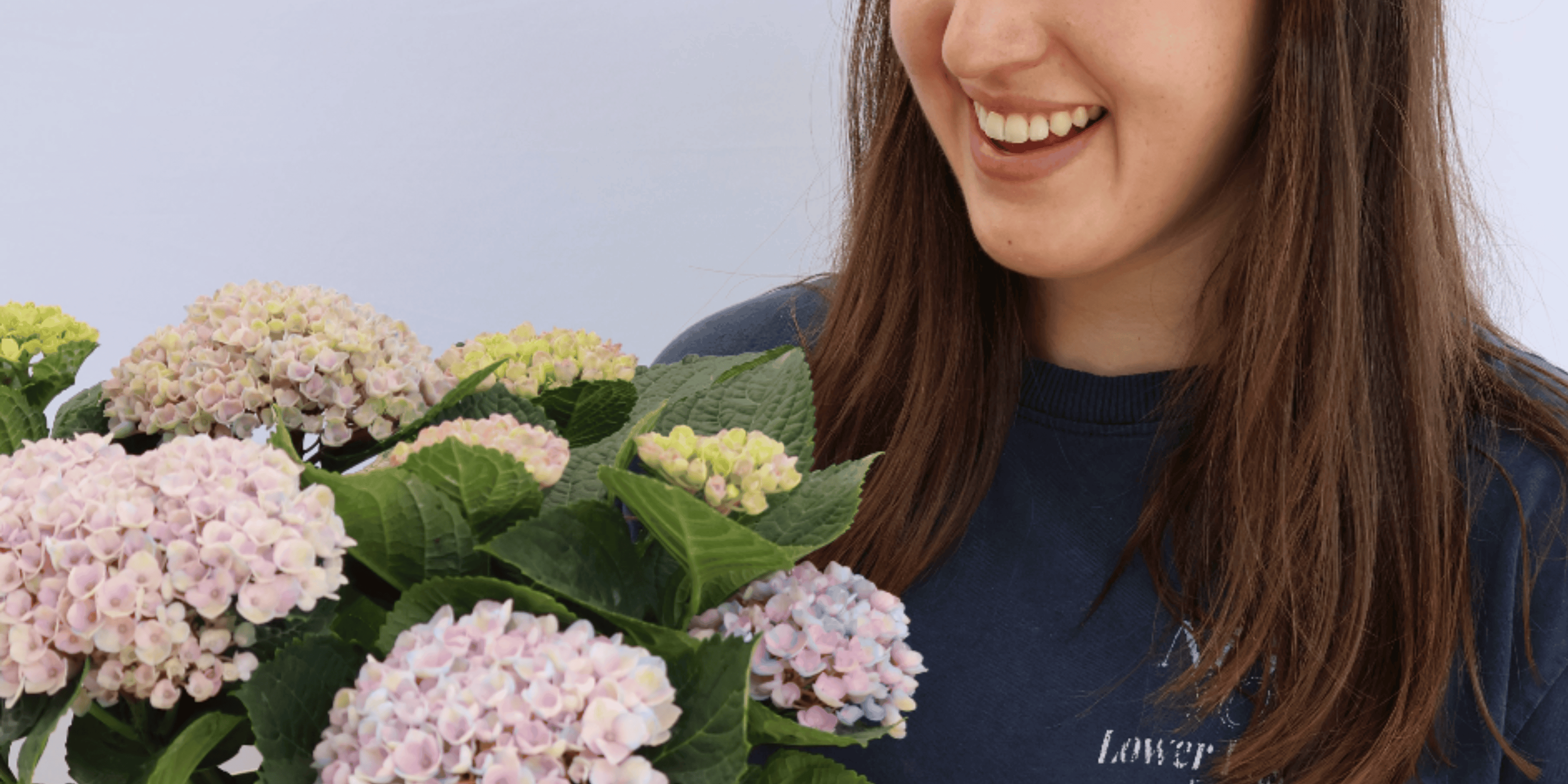 The Plants We Love