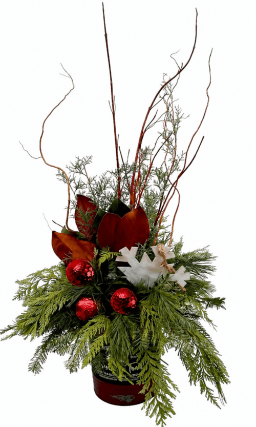Assorted Christmas Arrangement - LandscapeDirect