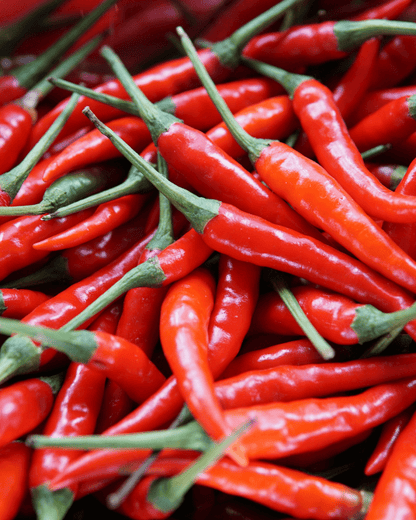 Cayenne Long Slim Pepper - LandscapeDirect