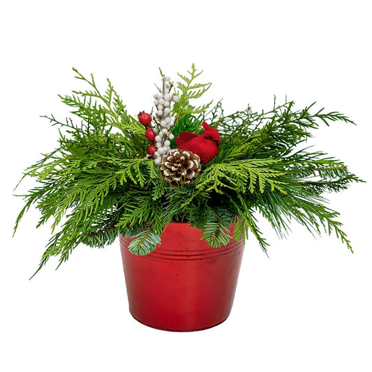 Christmas Bird Planter - 4.5 Inch Tin Pot - LandscapeDirect