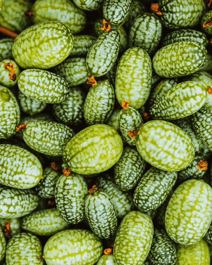 Cucamelon - LandscapeDirect