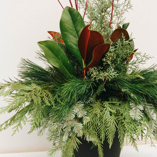 Fancy Greens & Dogwood Winter Porch Pot - LandscapeDirect