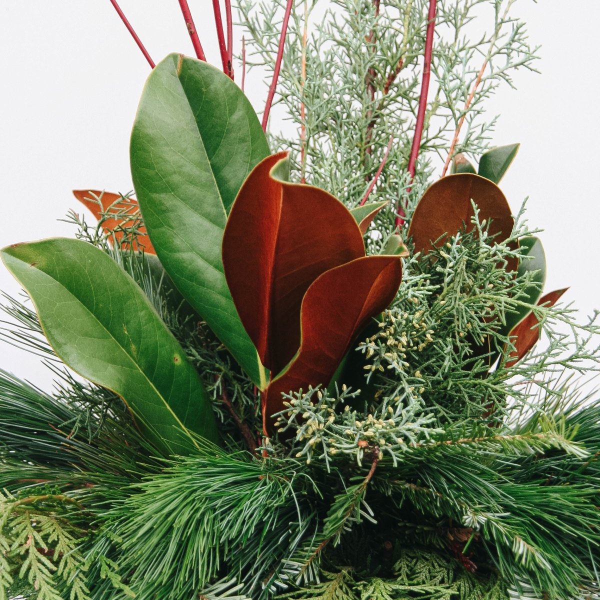 Fancy Greens & Dogwood Winter Porch Pot - LandscapeDirect