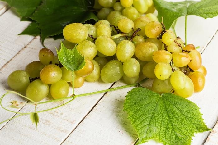 Himrod White Grape - LandscapeDirect