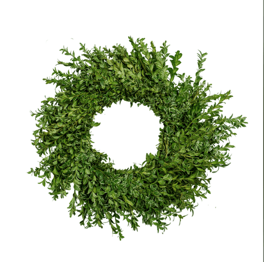 Oregonia Wreath - 20 Inch - LandscapeDirect