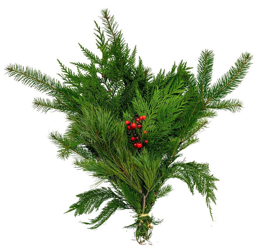 Premium Evergreen Bouquet - Fresh Cut Holiday Arrangement - LandscapeDirect