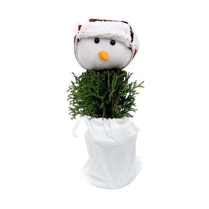Teddy Cedar Snowman Tree - LandscapeDirect