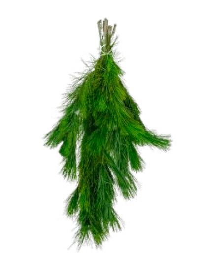 White Pine Boughs - LandscapeDirect